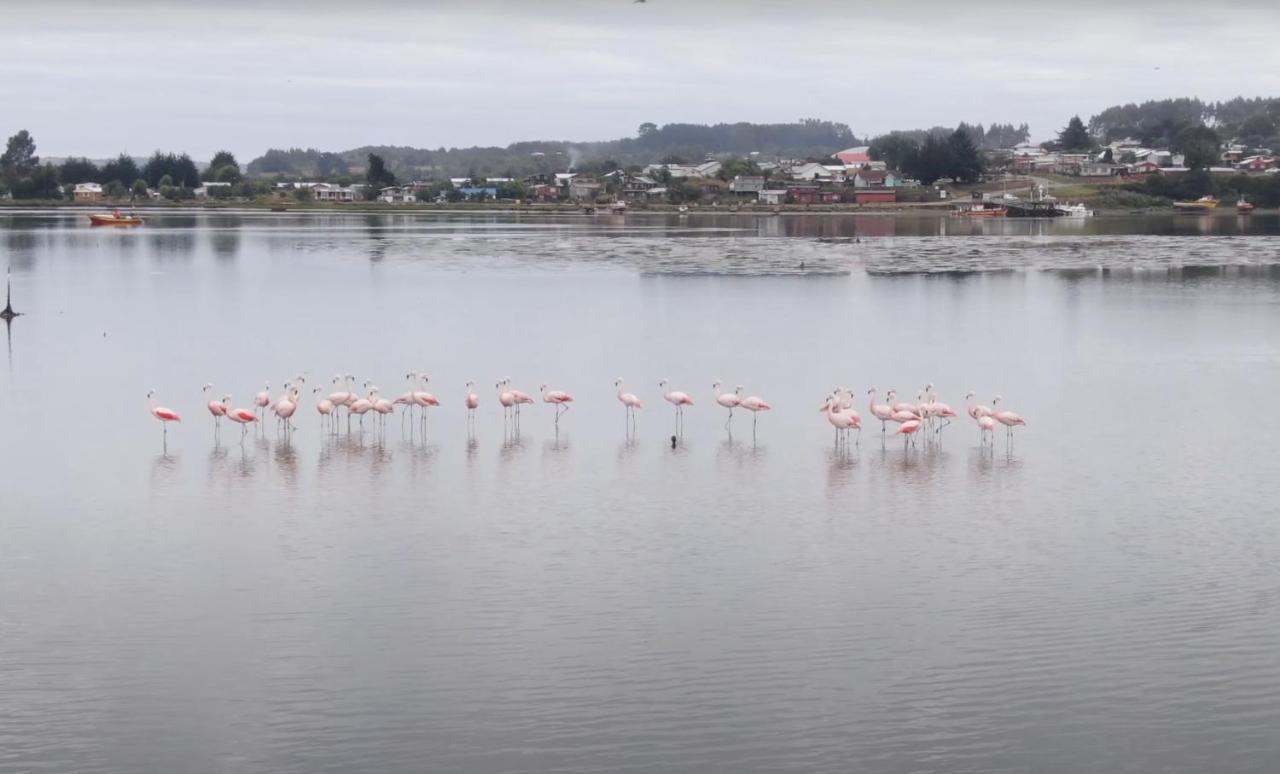 Y Tinajas Rio Quenuir Maullin